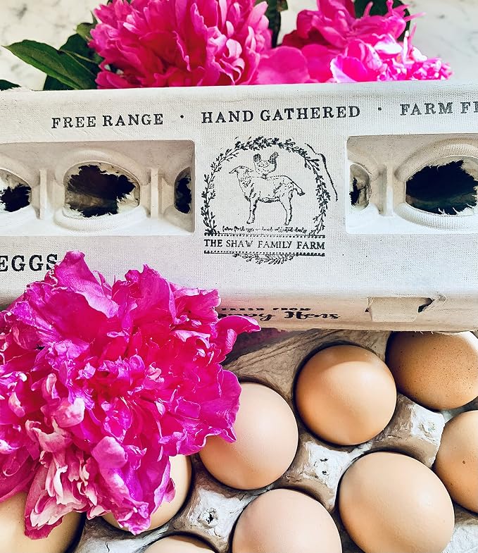 Egg Cartons- Adorable Printed Design - Image 8