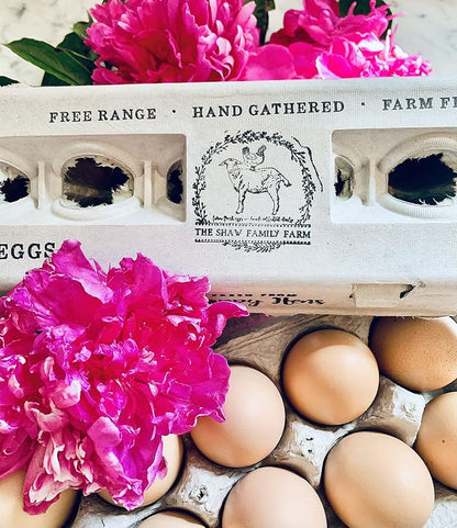 Egg Cartons- Adorable Printed Design - Image 8