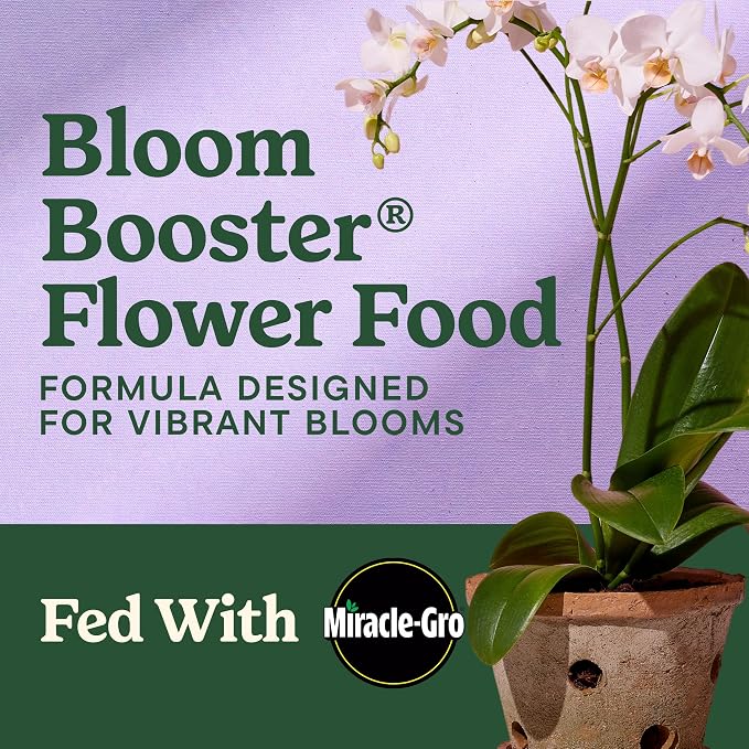 Miracle-Gro Liquafeed Bloom Booster Flower Food, Refill Bottles - Image 2