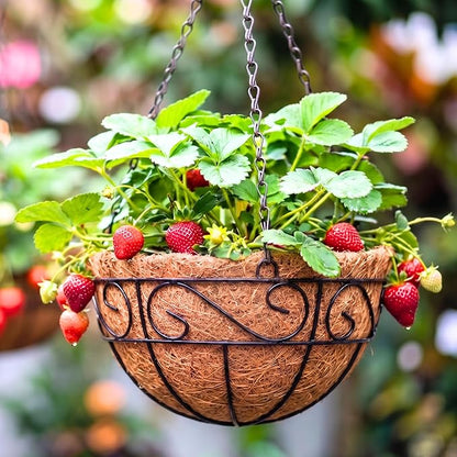 LaLaGreen Hanging Planter for Outdoor Plants Hanging Baskets by L%C3%A1L%C3%A1Green