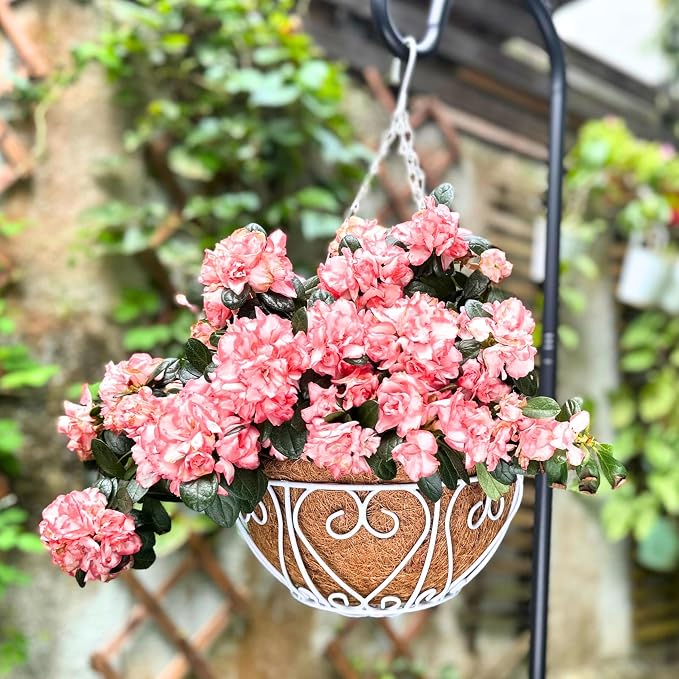 LaLaGreen Hanging Baskets for Plants Small Hanging Flower Pots - Image 9