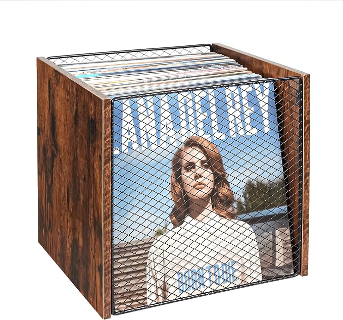 Honkazita 1 Cube Vinyl Record Storage Furniture - Image 8