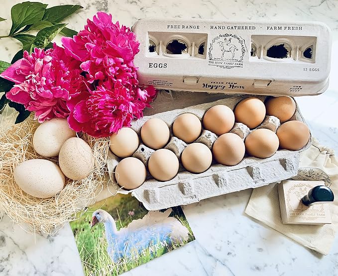 Egg Cartons- Adorable Printed Design - Image 5