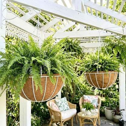 LaLaGreen Hanging Planter for Outdoor Plants Hanging Baskets by L%C3%A1L%C3%A1Green