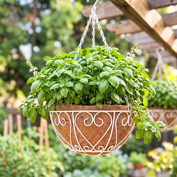 LaLaGreen Hanging Planter for Outdoor Large White Metal Wire Hanging Plant by L%C3%A1L%C3%A1Green