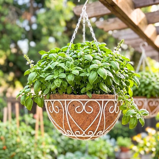 LaLaGreen Hanging Planter for Outdoor Large White Metal Wire Hanging Plant by L%C3%A1L%C3%A1Green