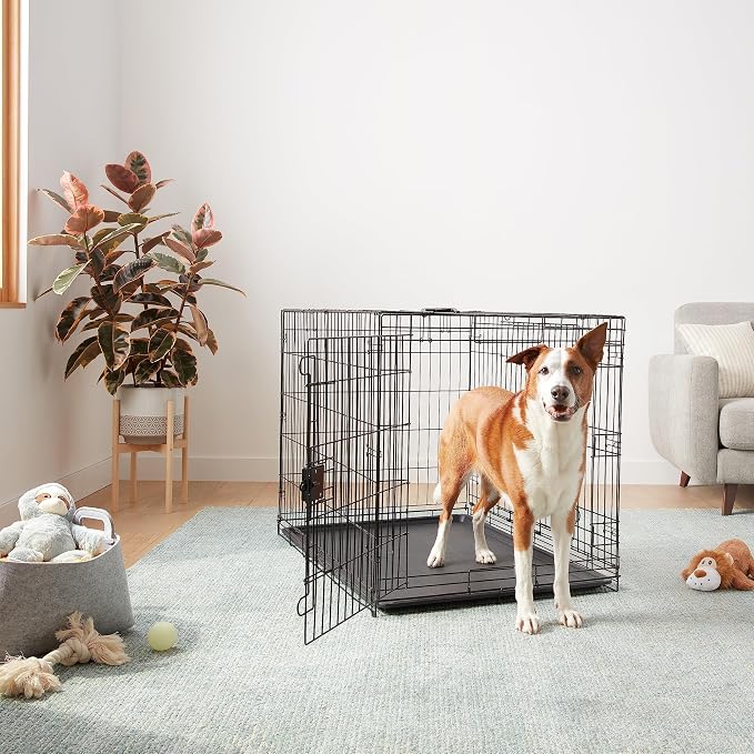 Amazon Basics - Durable, Foldable Metal Wire Dog Crate - Image 6