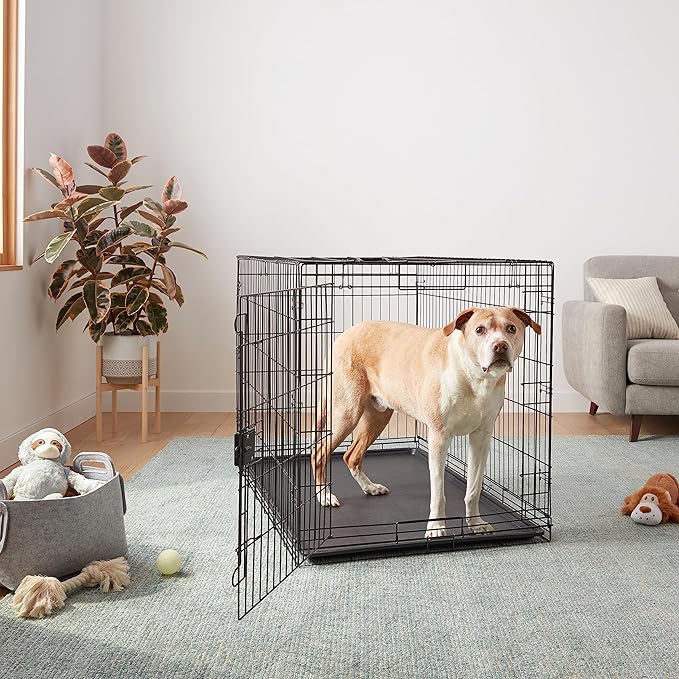 Amazon Basics Durable, Foldable Metal Wire Dog Crate - Image 6