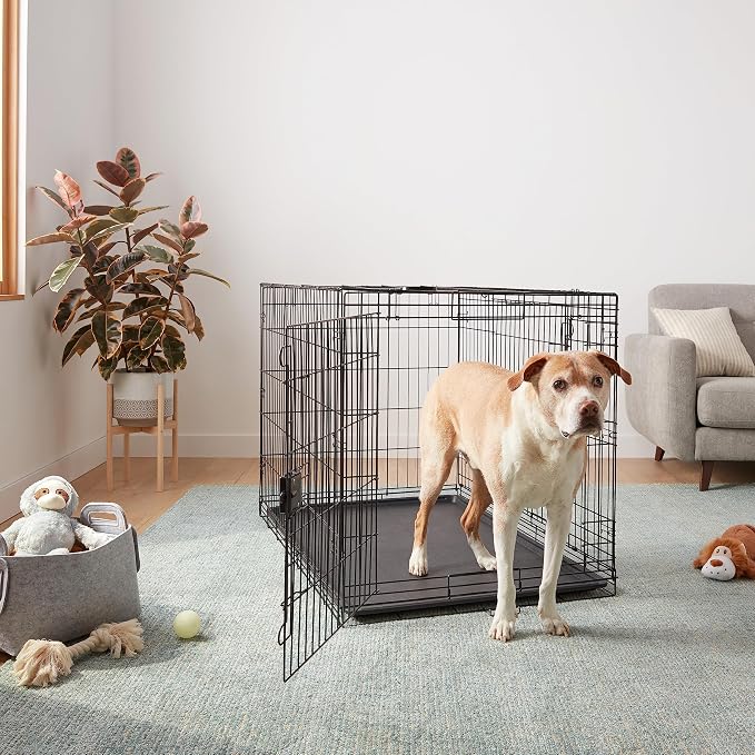 Amazon Basics Durable, Foldable Metal Wire Dog Crate - Image 5