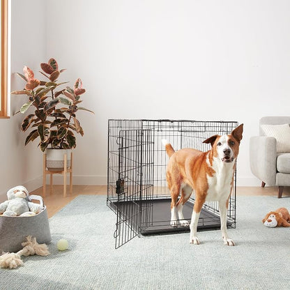 Amazon Basics - Durable, Foldable Metal Wire Dog Crate - Image 5
