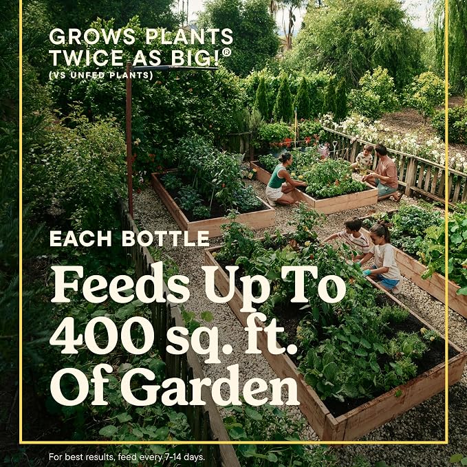 Miracle-Gro LiquaFeed All Purpose Plant Food Advance Starter Kit and Refills - Image 3