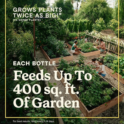 Miracle-Gro LiquaFeed All Purpose Plant Food Advance Starter Kit and Refills - Image 3