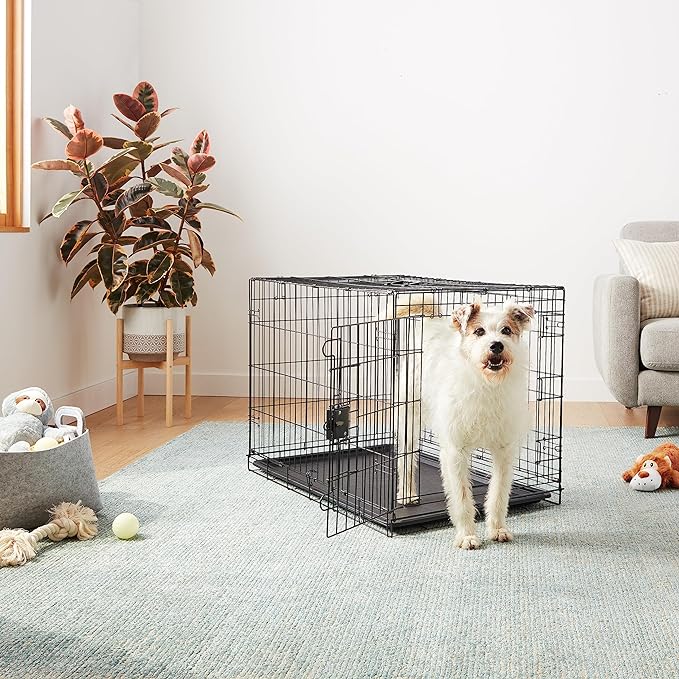 Amazon Basics - Durable, Foldable Metal Wire Dog Crate - Image 6