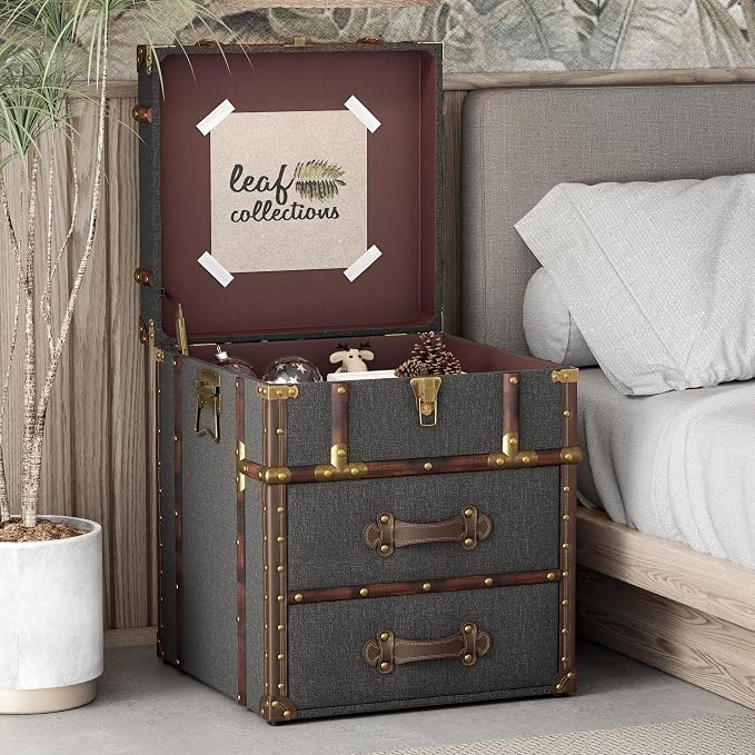 Aoikax Vintage Storage Chest - Image 5