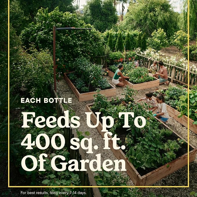 Miracle-Gro LiquaFeed All Purpose Plant Food Advance Starter Kit | - Image 3